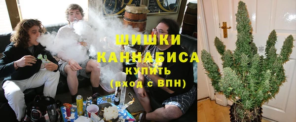 ГАЛЛЮЦИНОГЕННЫЕ ГРИБЫ Балахна