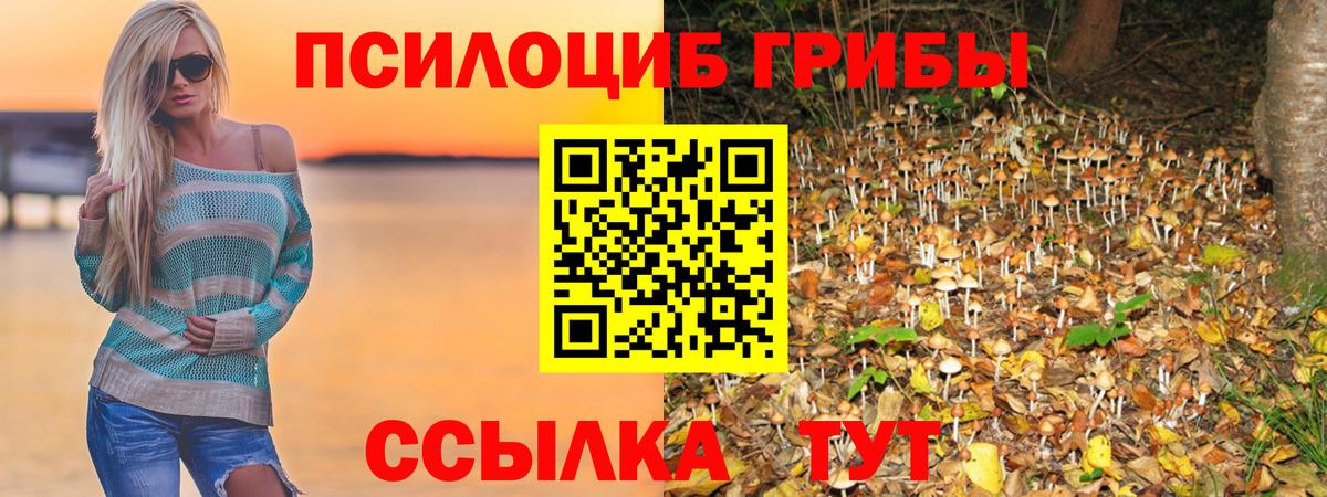 Кувандык  Галлюциногенные грибы Psilocybine cubensis  Вход с VPN  Галлюциногенные грибы MAGIC MUSHROOMS 